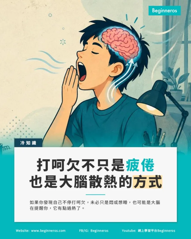 【打呵欠不只是疲倦,也是大腦散熱的一種方式】