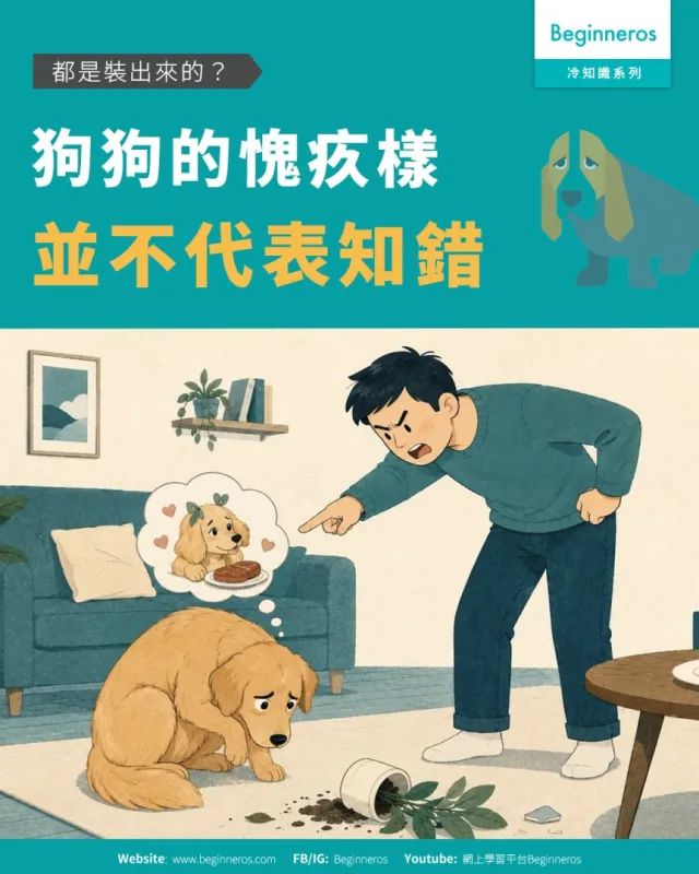 【都是裝出來的? ︱#狗狗的愧疚樣並不代表知錯】